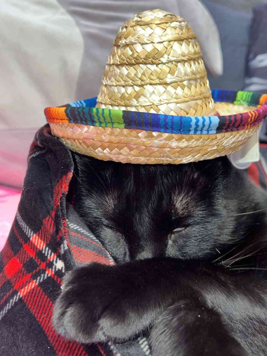 sombrero straw hat for dolls