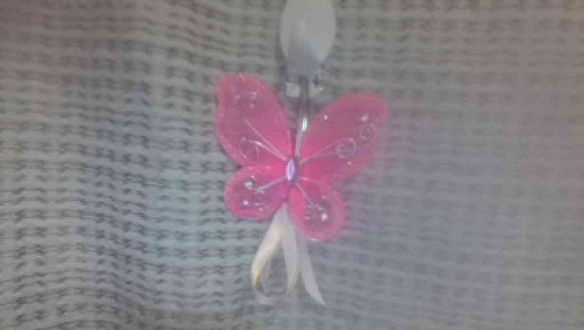 hair clip