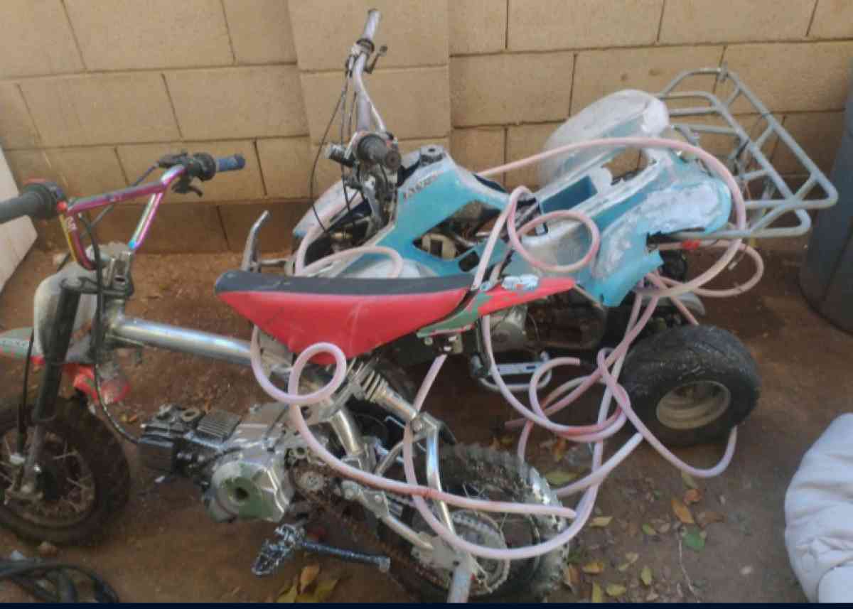 pit bike and quad