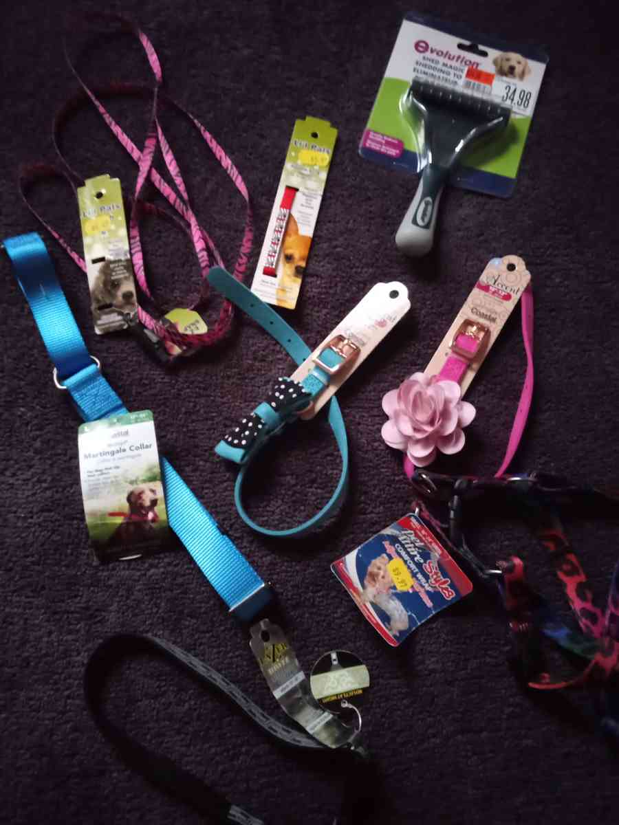 Pet Collars Grooming Tool