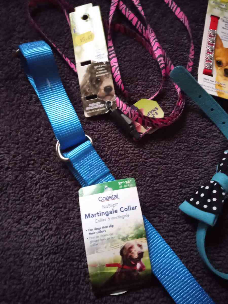 Pet Collars Grooming Tool