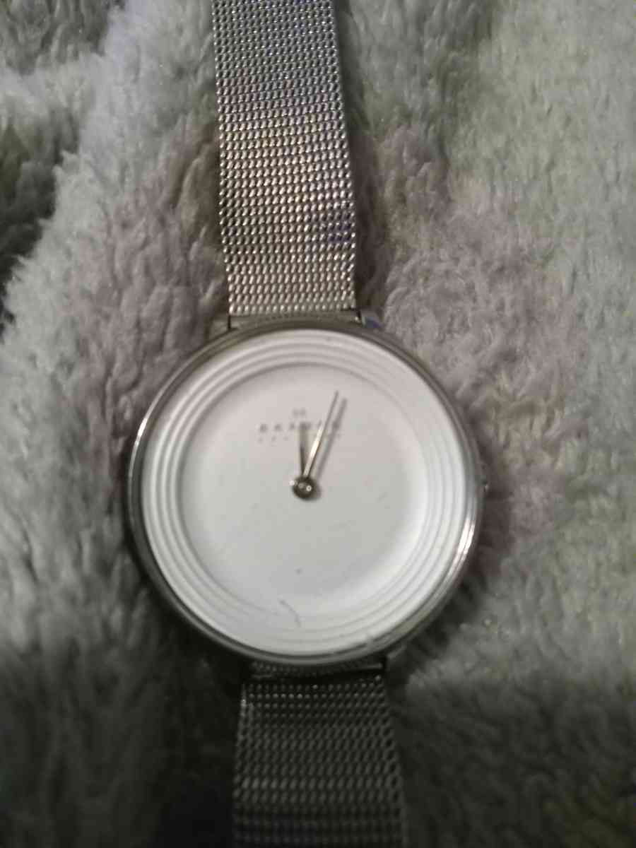 Skagen SKW2332 Ditte White Dial Stainless Sreel Womens watch