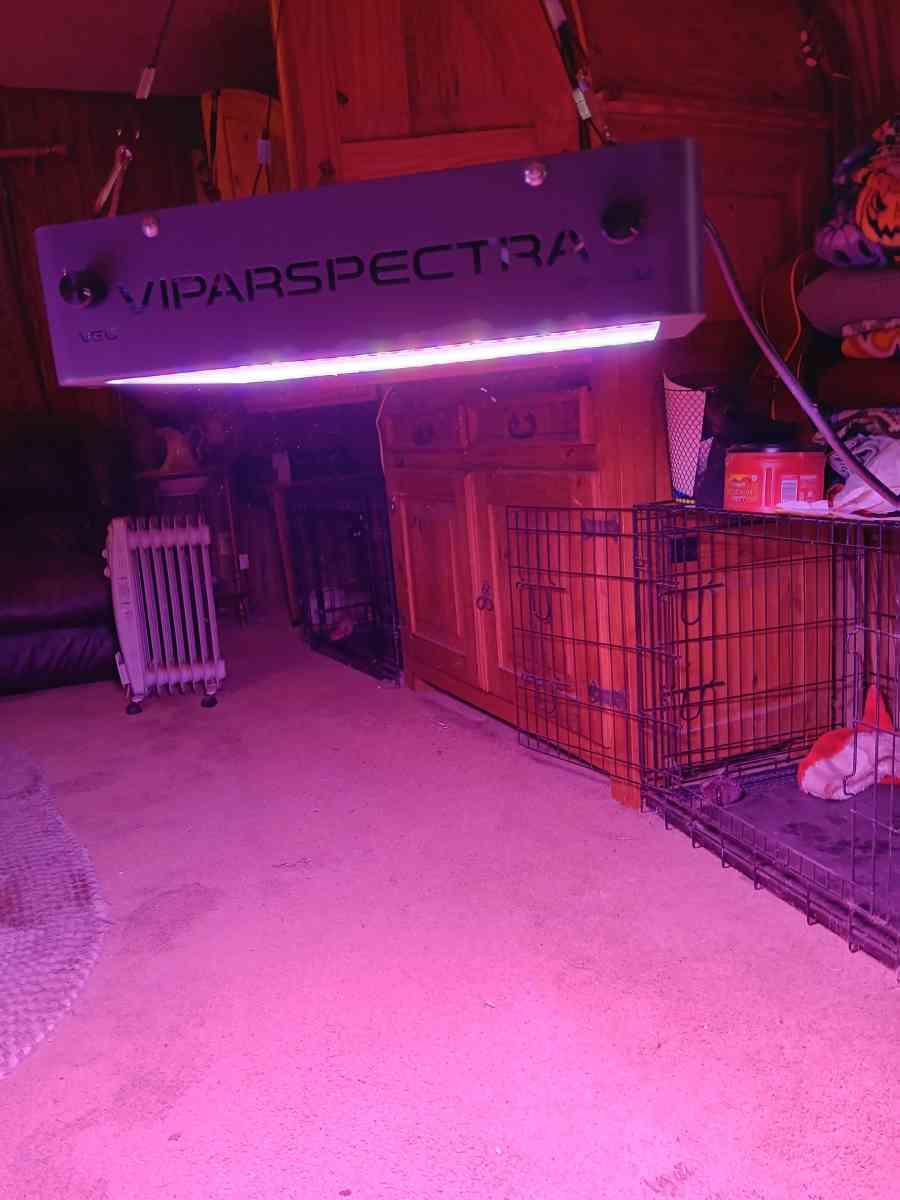 indoor grow lights 4