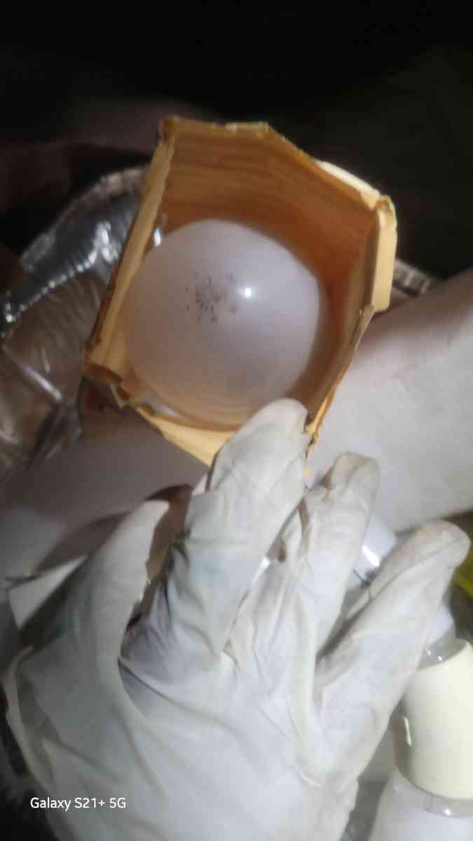 many different types and sizes of light bulbs and fixtures