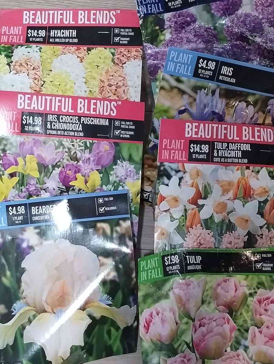 seed starter kits various flower bulbs