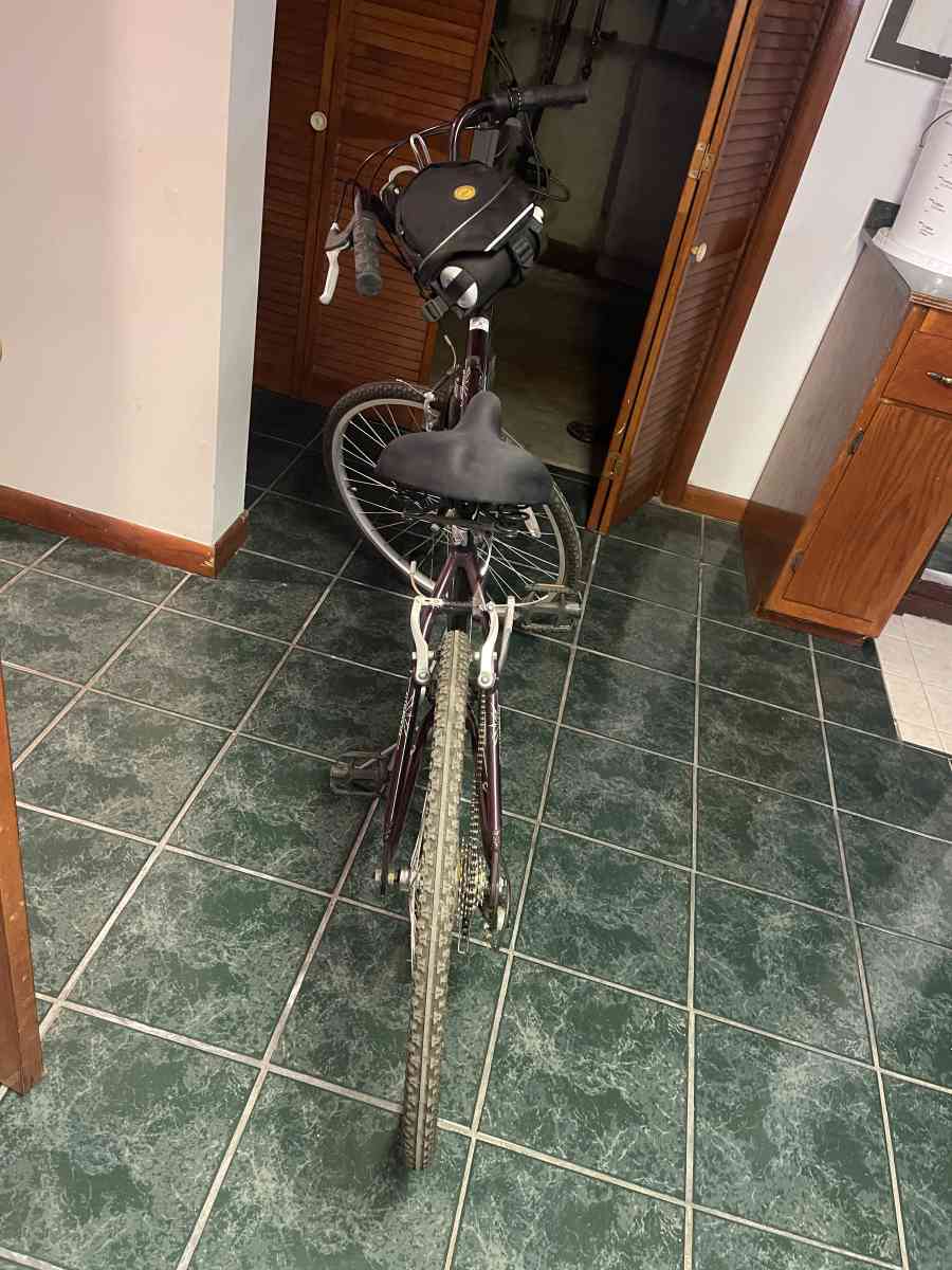 womens magna oasis 7 speed bike