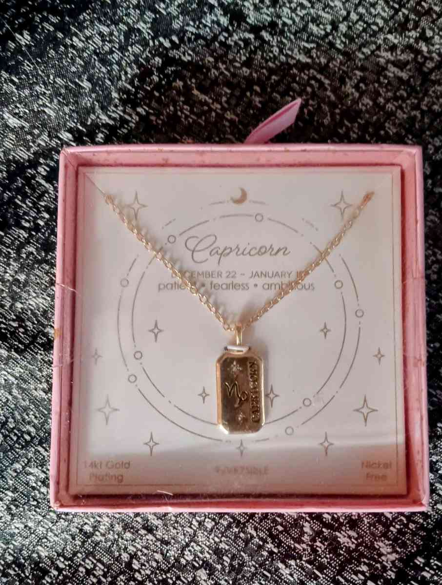14kt Gold Plated Zodiac Necklace For Capricorns