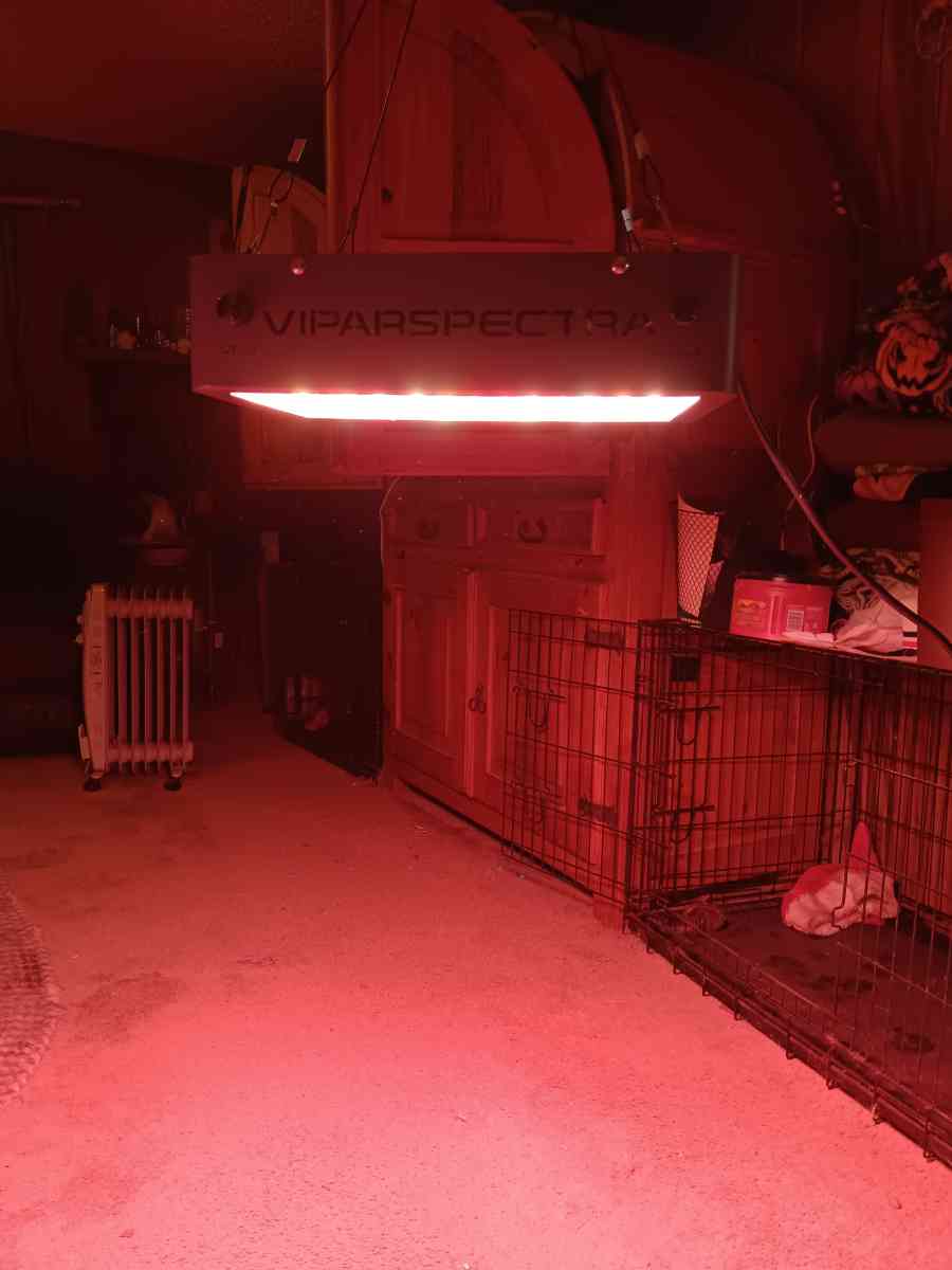 indoor grow lights 4