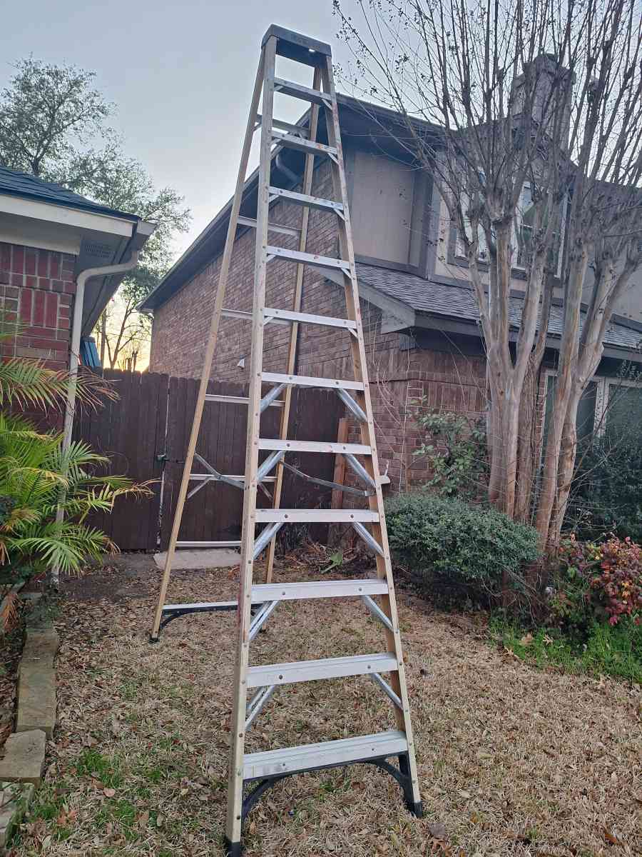 ladder Sale 12 ft