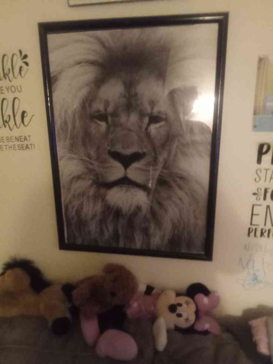 lion picture in frame