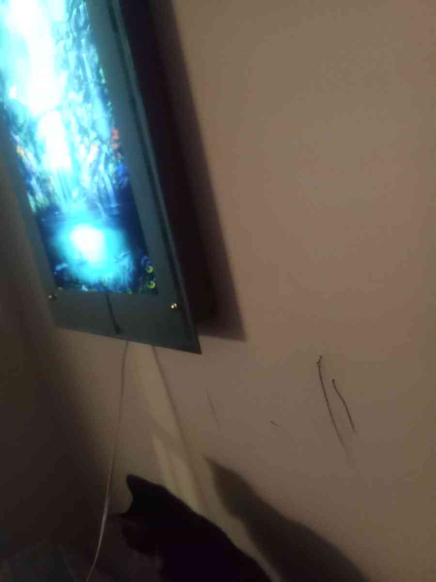 lights and sounds picture