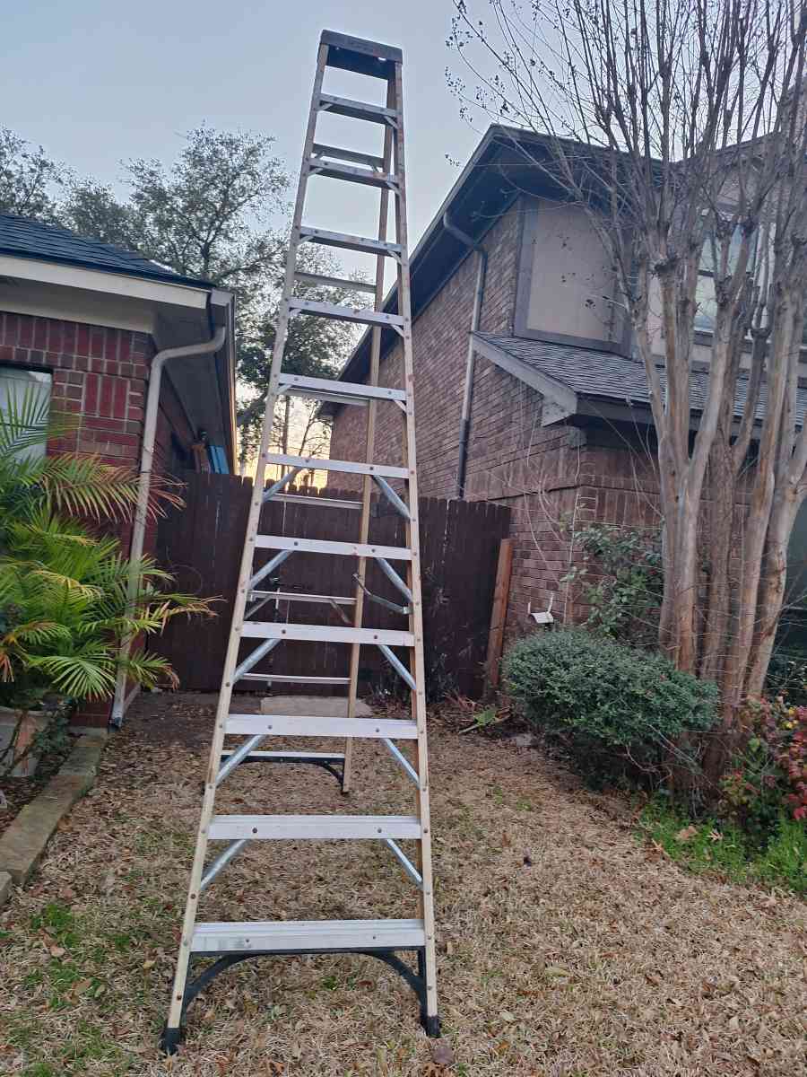 ladder Sale 12 ft