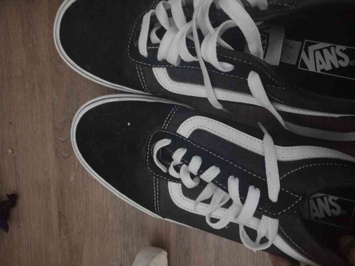 vans shoe