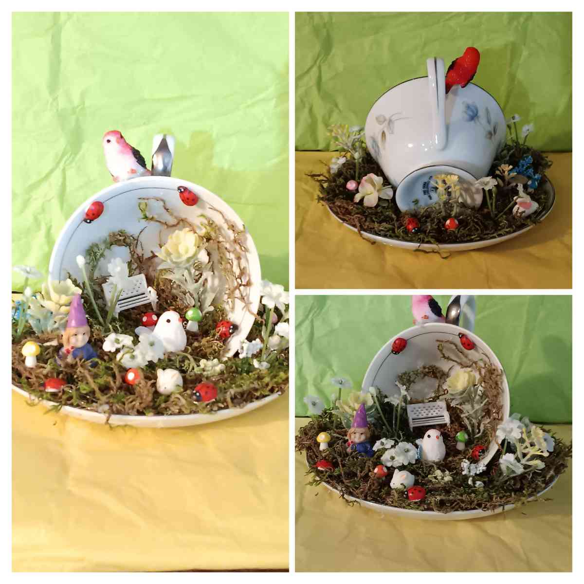 little teacup garden