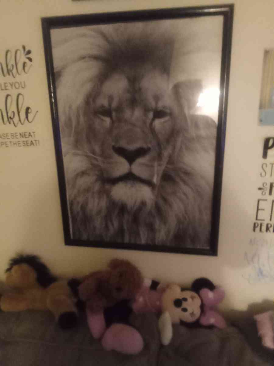 lion picture in frame