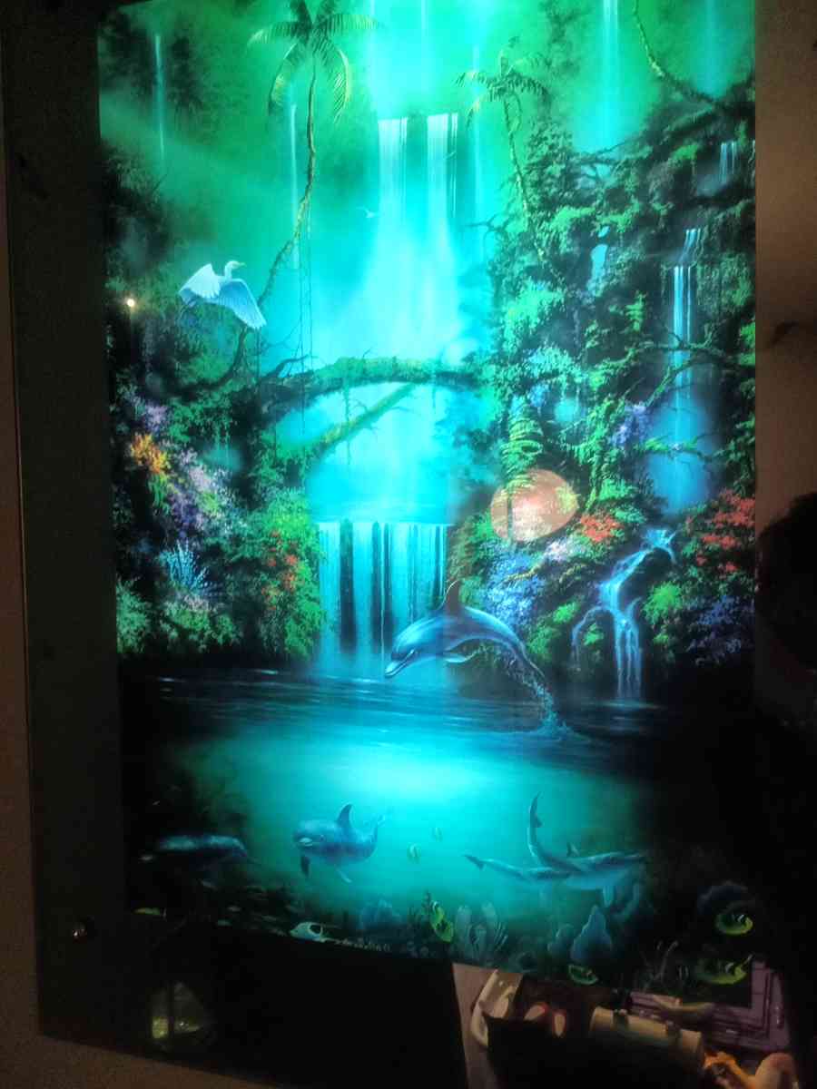 lights and sounds picture