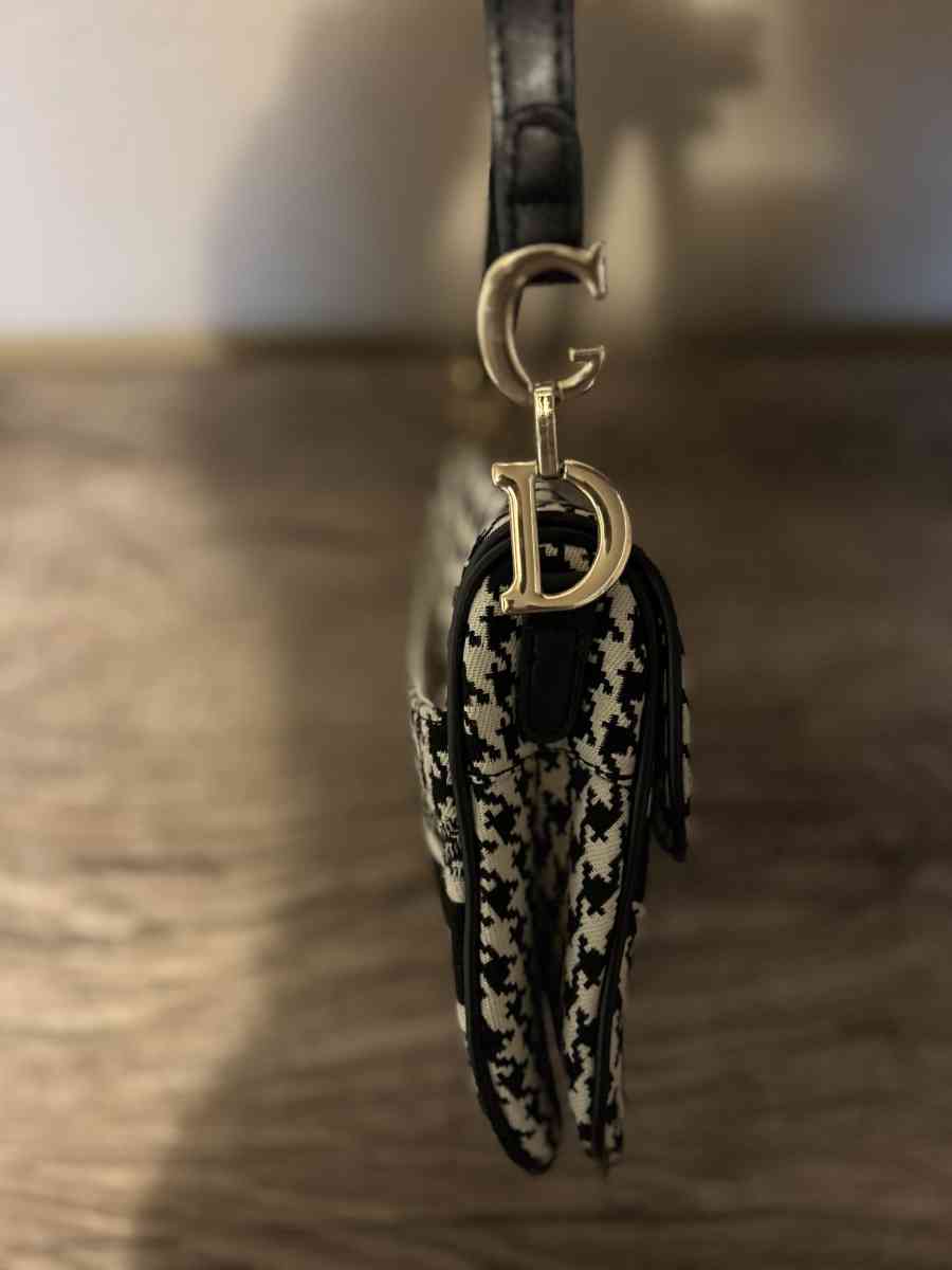 Saddle Dior