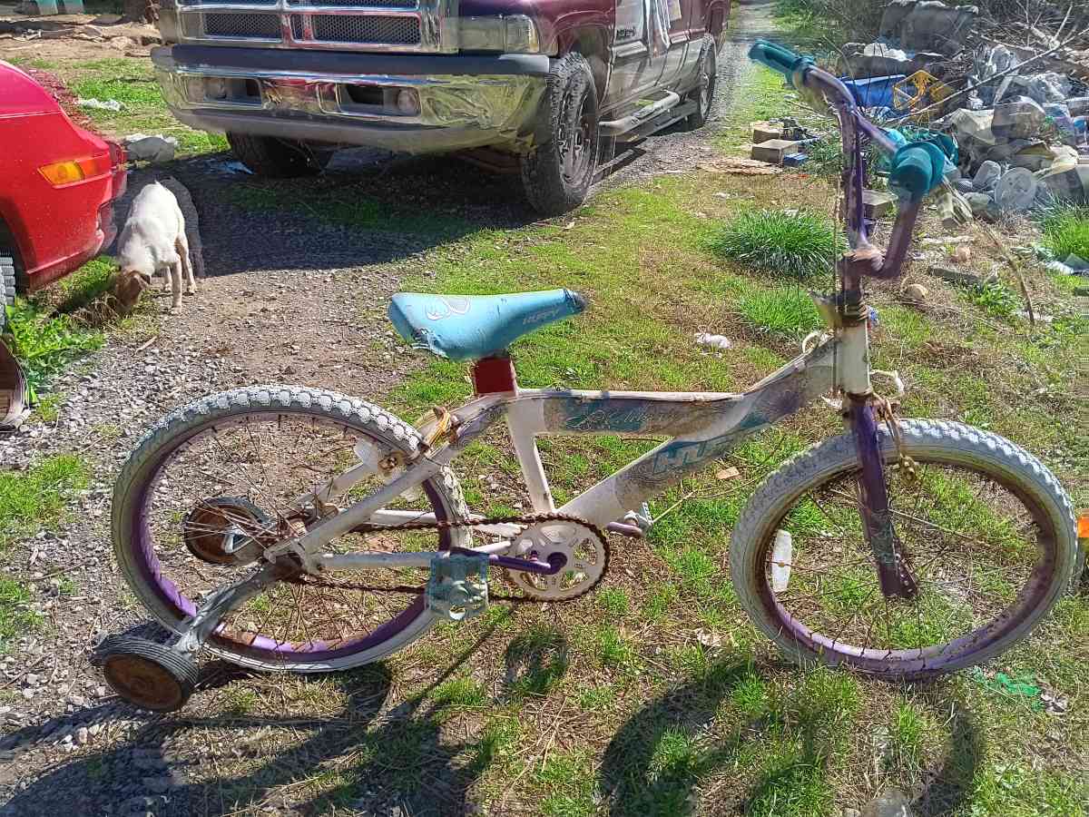 little girl bike that has been sitting for a few years now