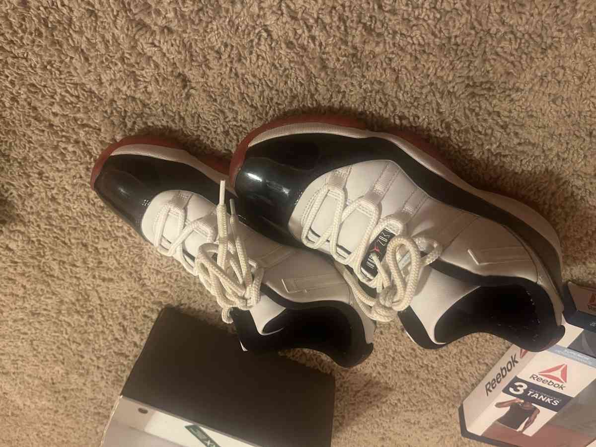Concord bred 11s