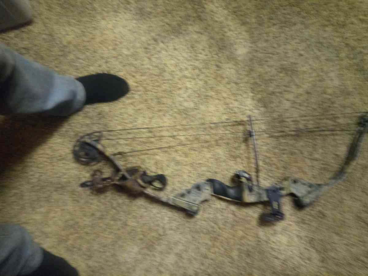 compound bow