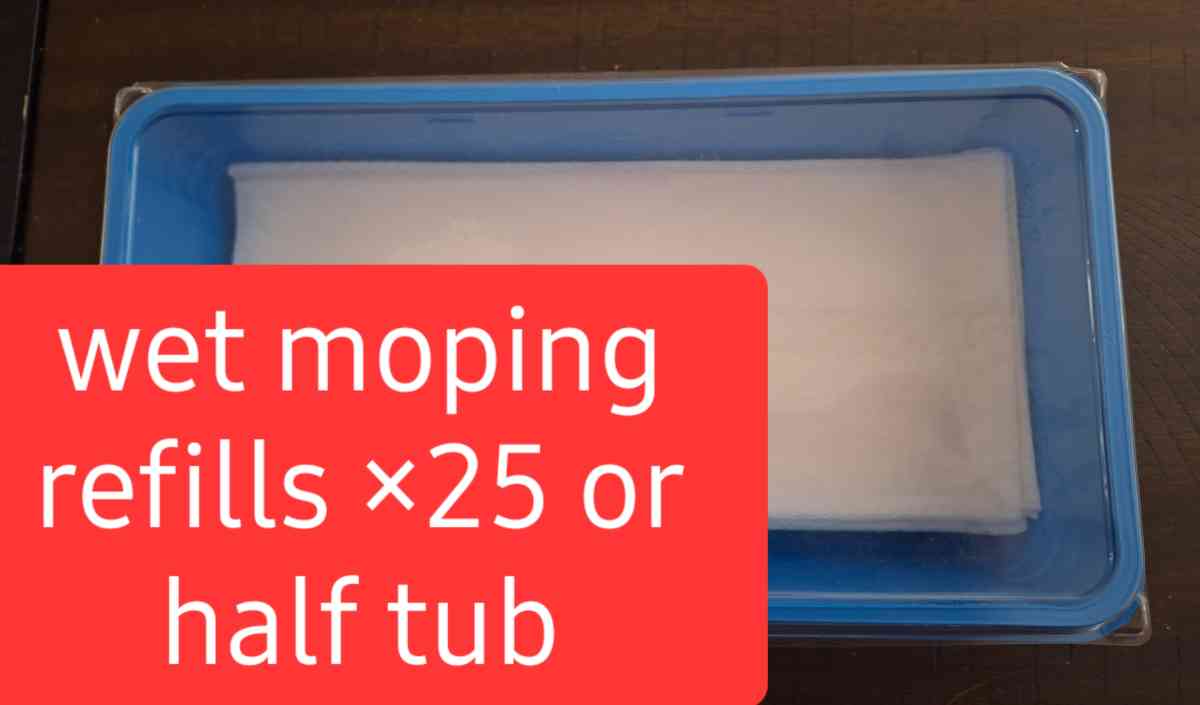 Manual Swiffer with Sweeping and Moping pads