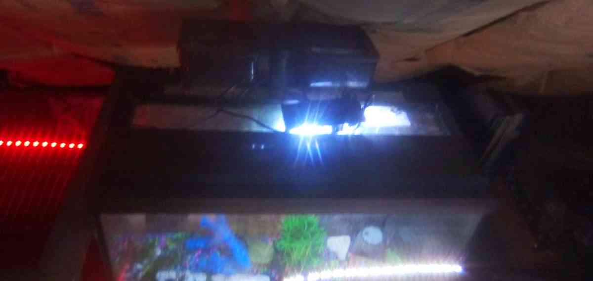 fish tank