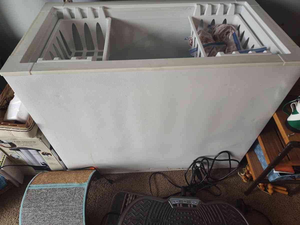freezer for sale 35 bucks