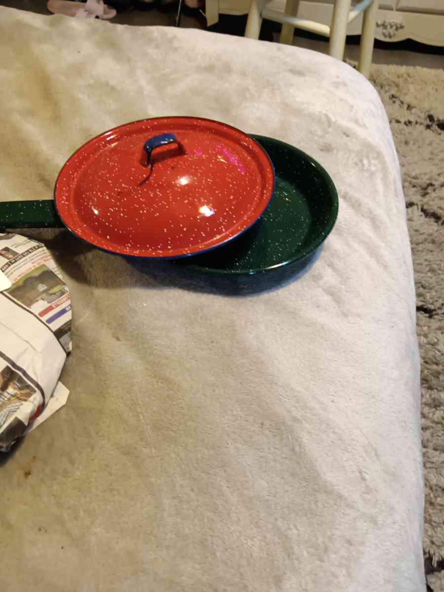 Granite Skillet with lid