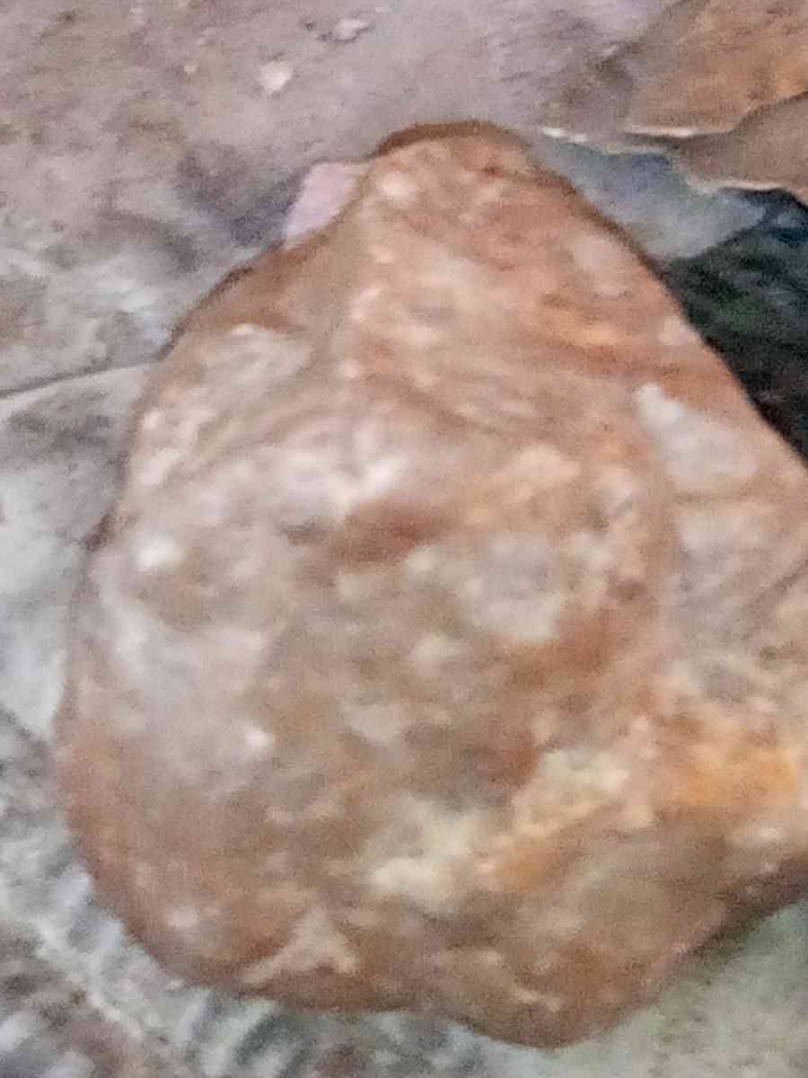 Yellow Sapphire Golden colors