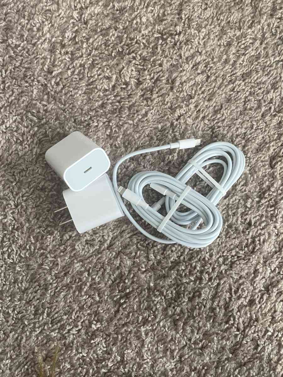 C Type Rapid Charger