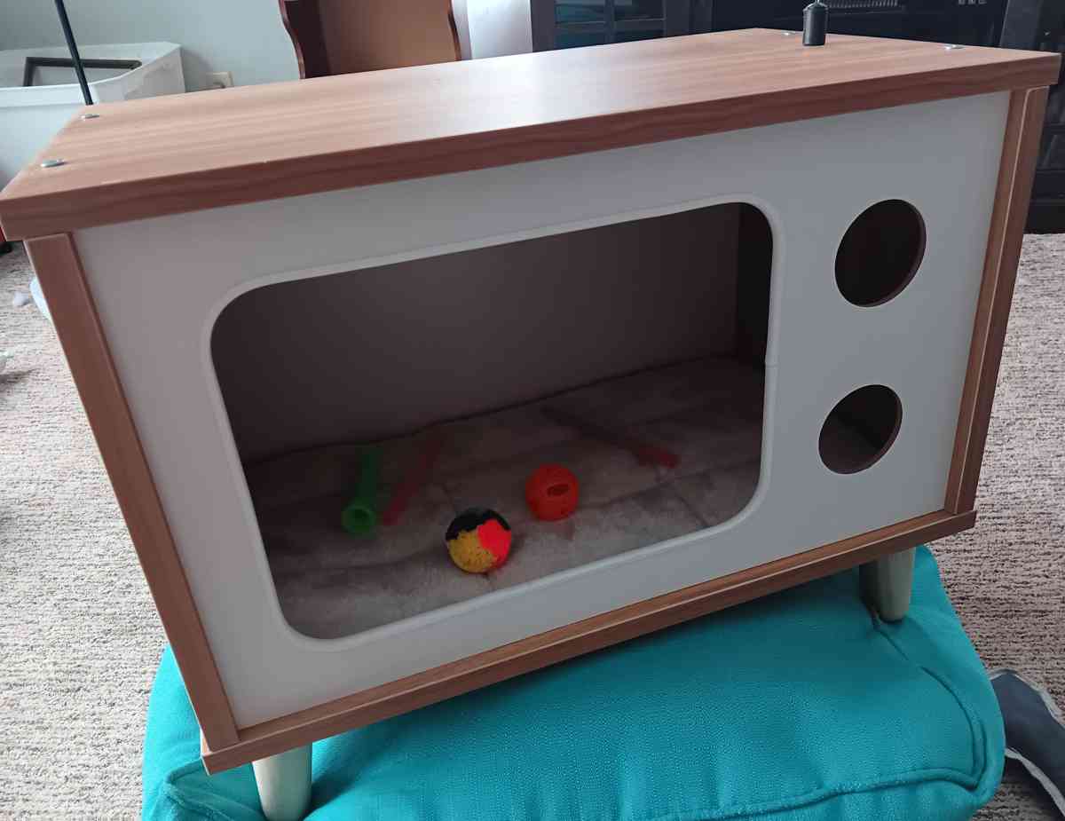 cat bed house toys and scratch pad