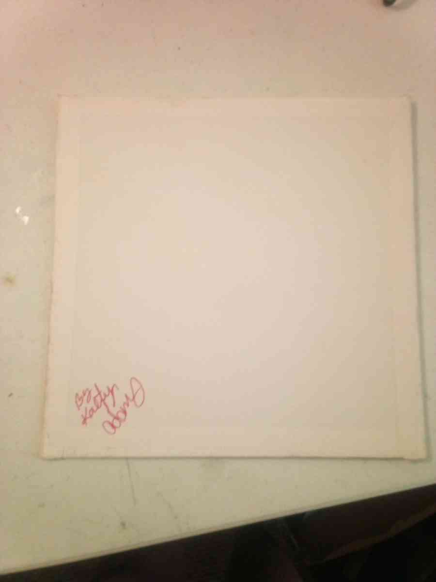 soft pastel drawing on canvas