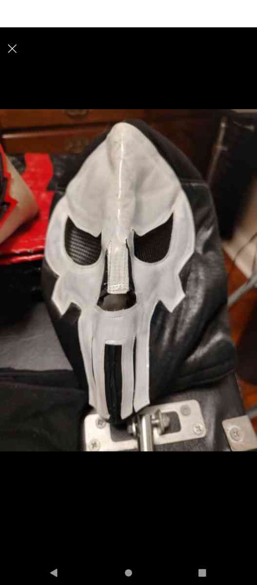 in ring professional wrestling gear