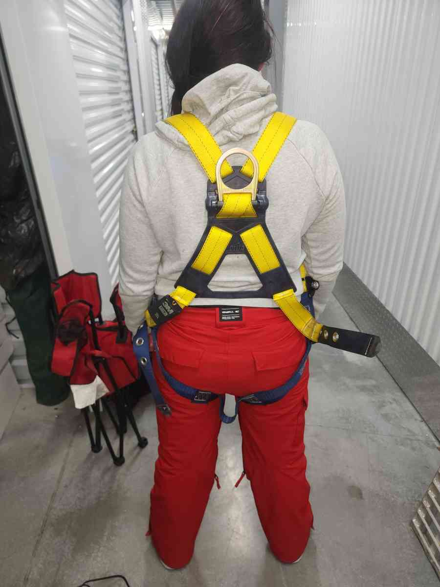 Full body harness
