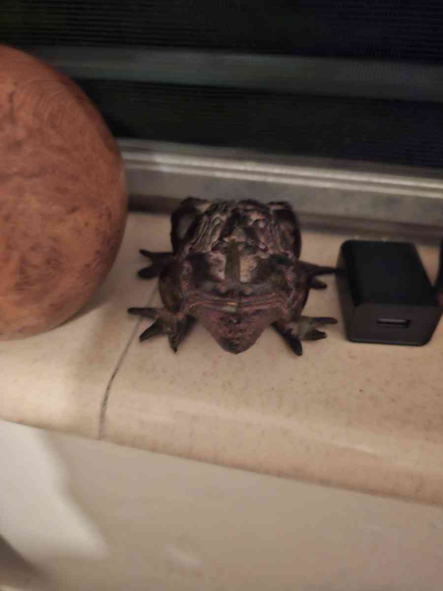 very beautiful vases