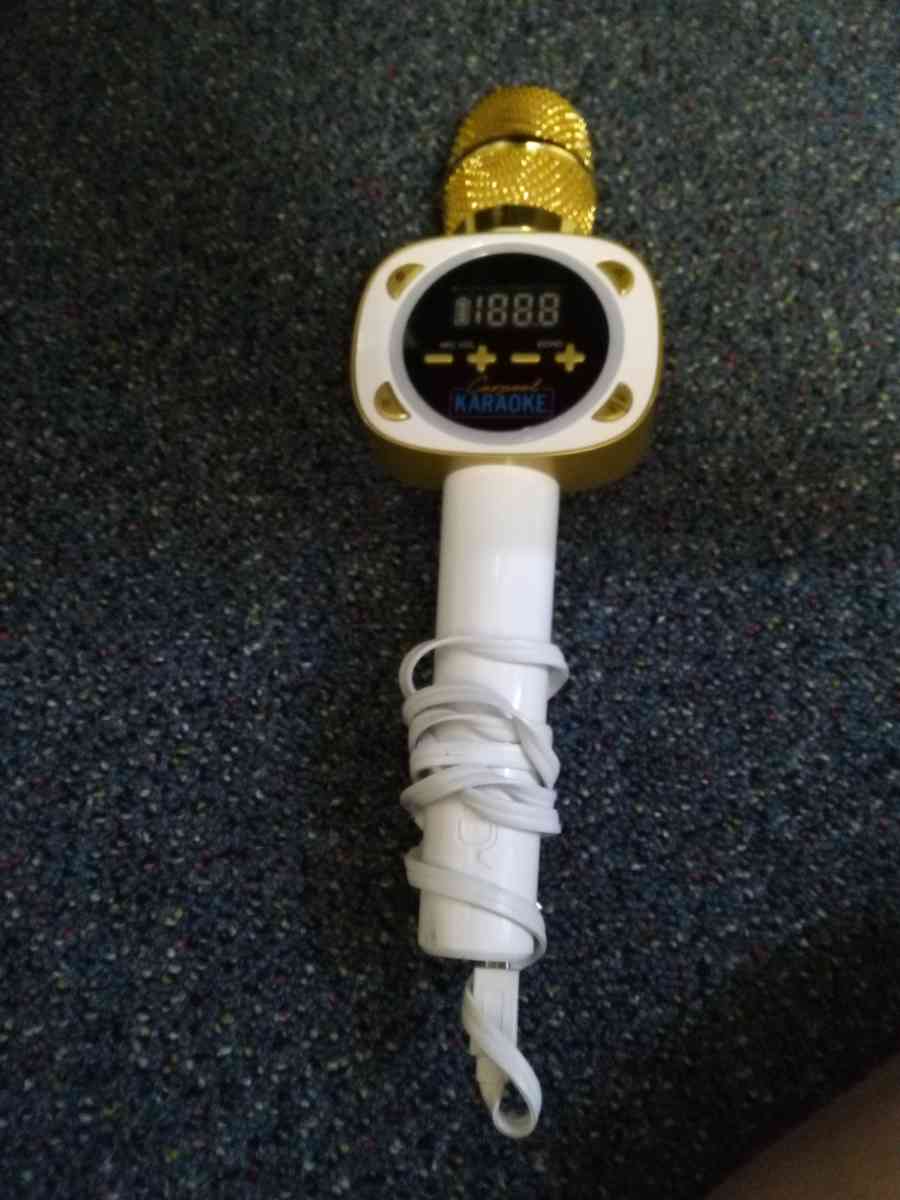 Carpool Karaoke Microphone