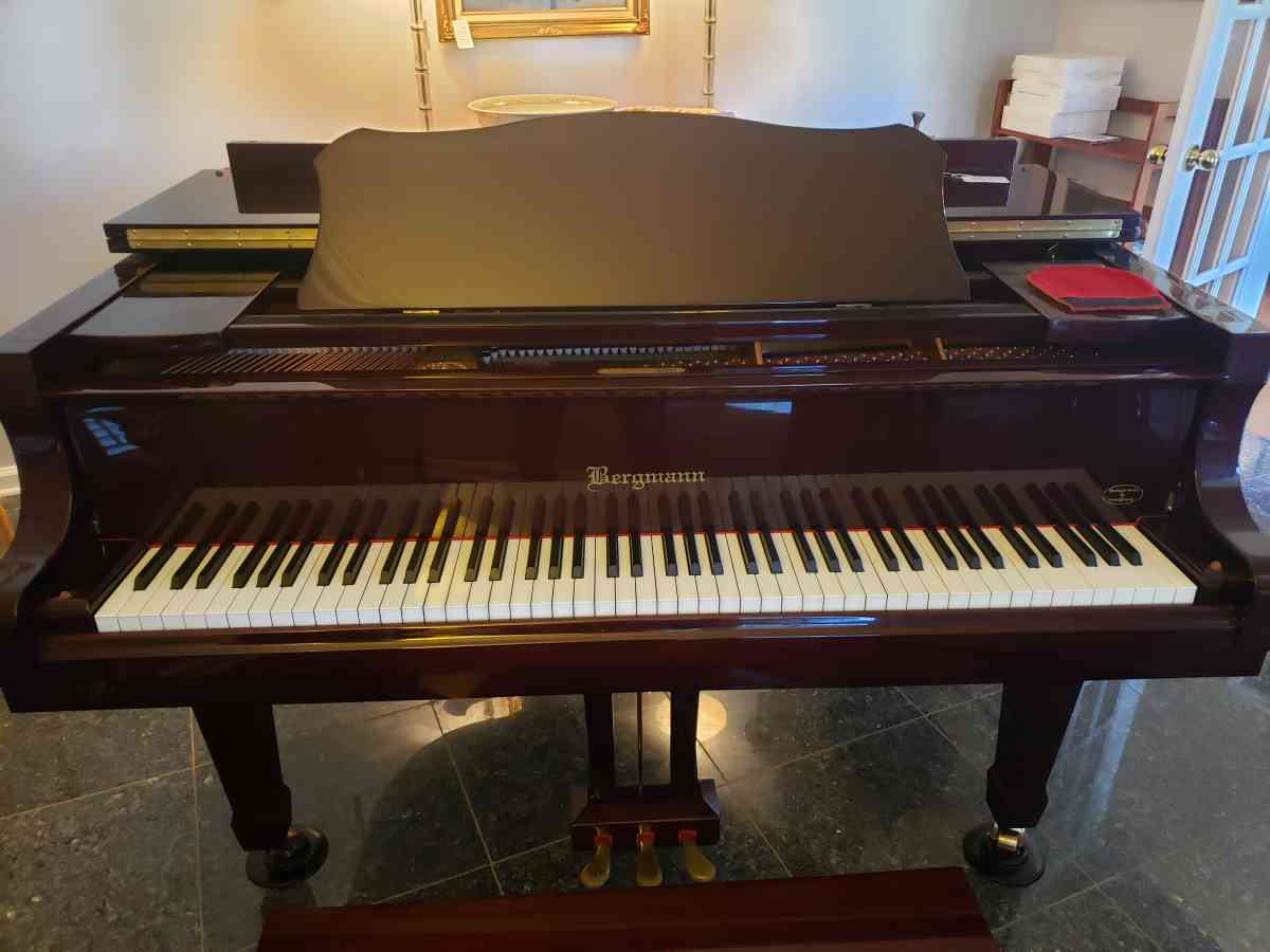 Bergmann Piano Heritage Series by Young Chan