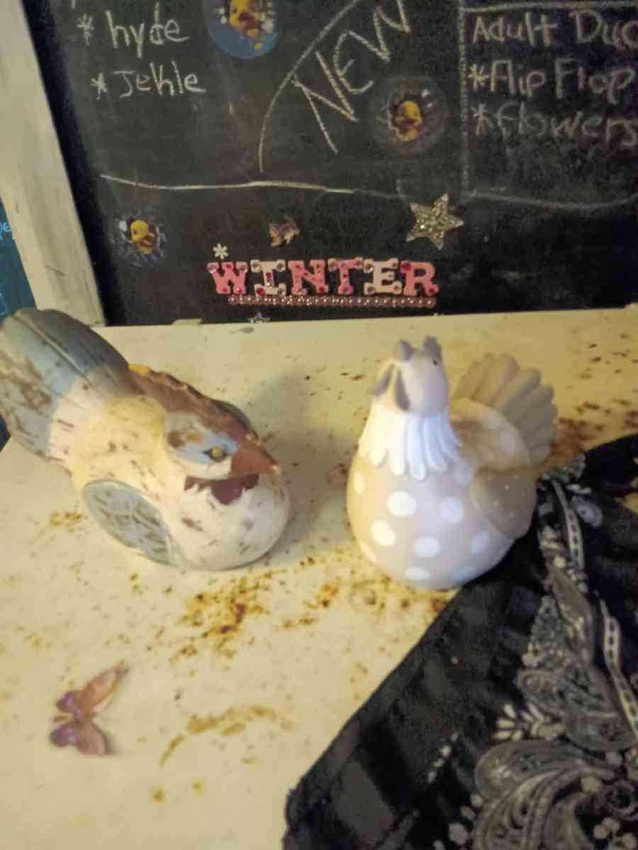 chickens and foot massager