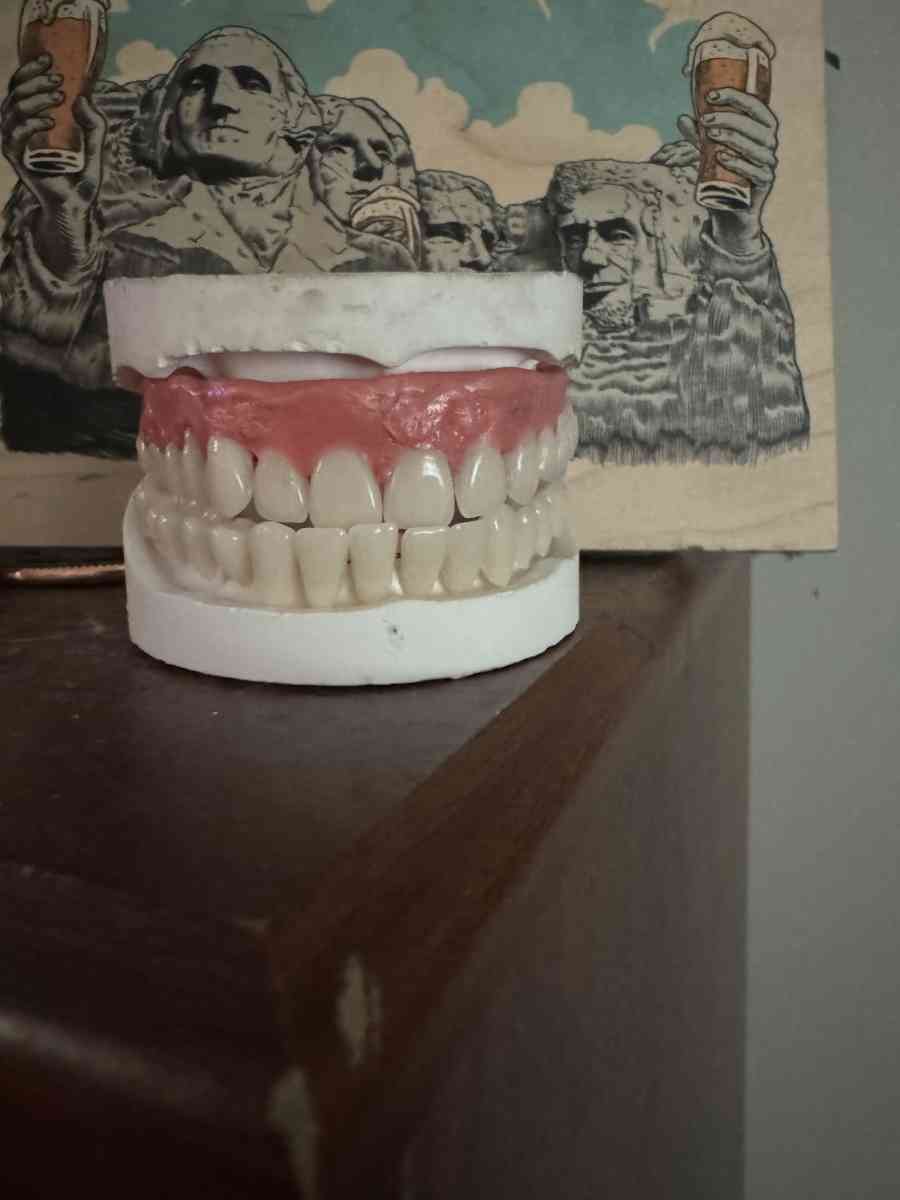 Unused Custom Designed Universal Unisex Dentures
