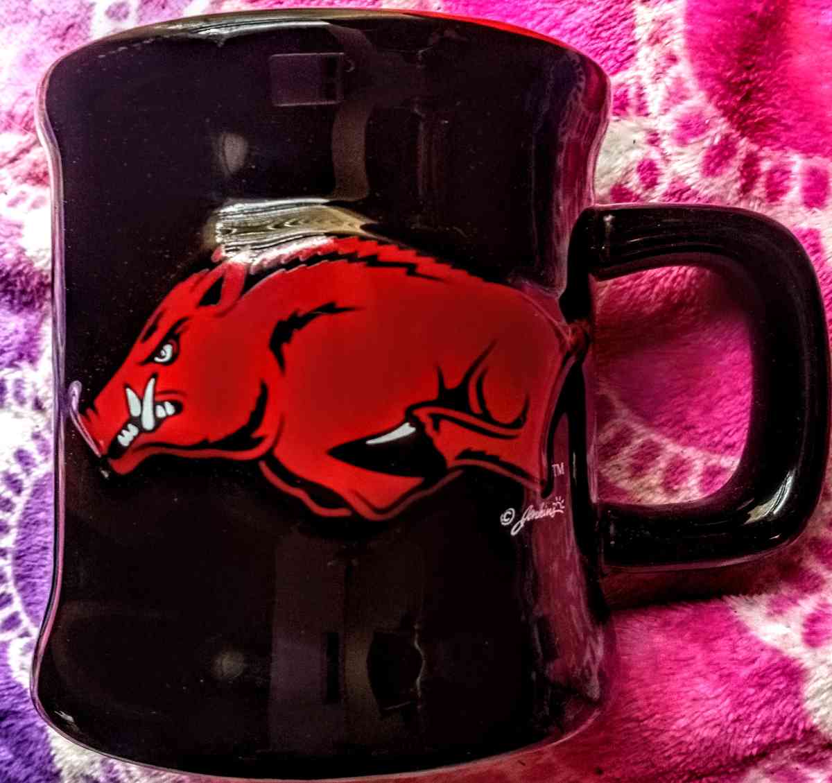 Arkansas Razorbacks Mug