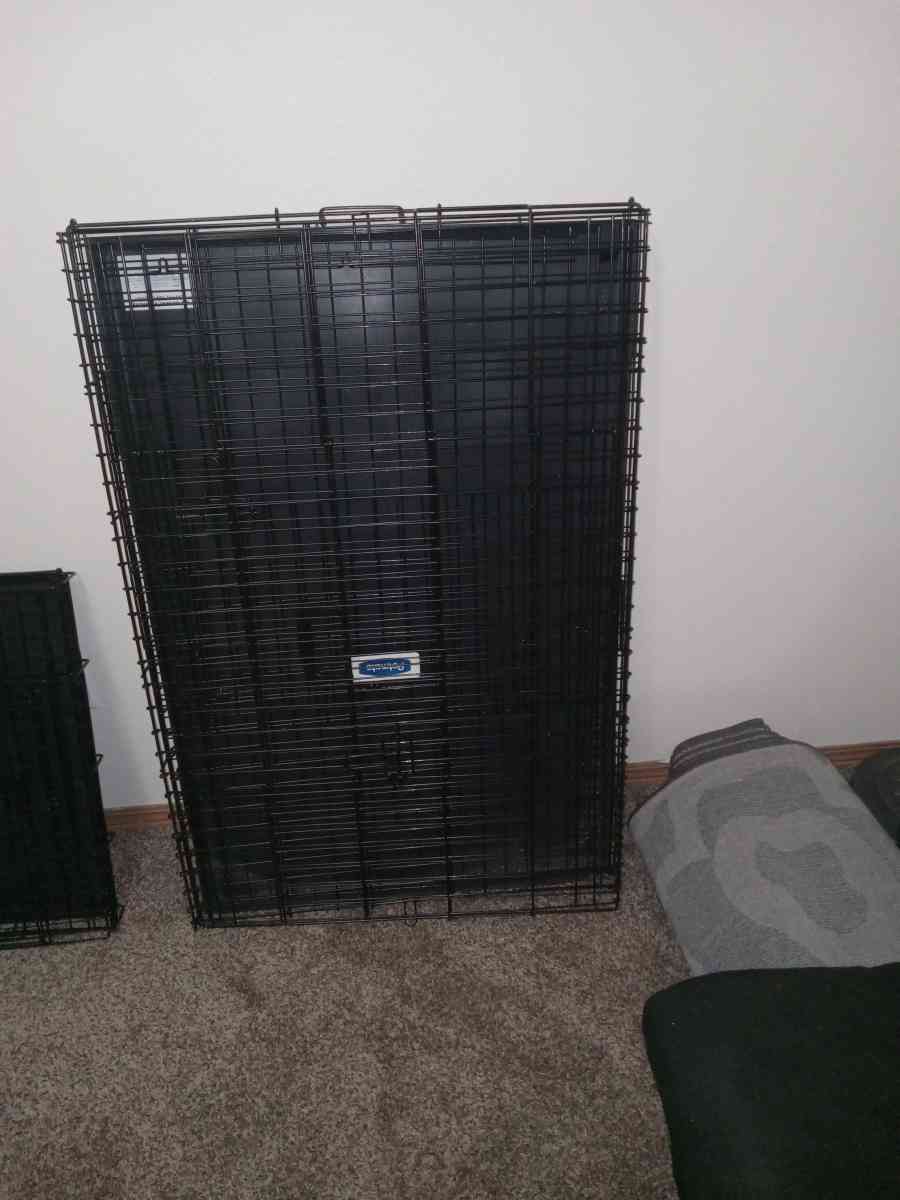 xl dog cage