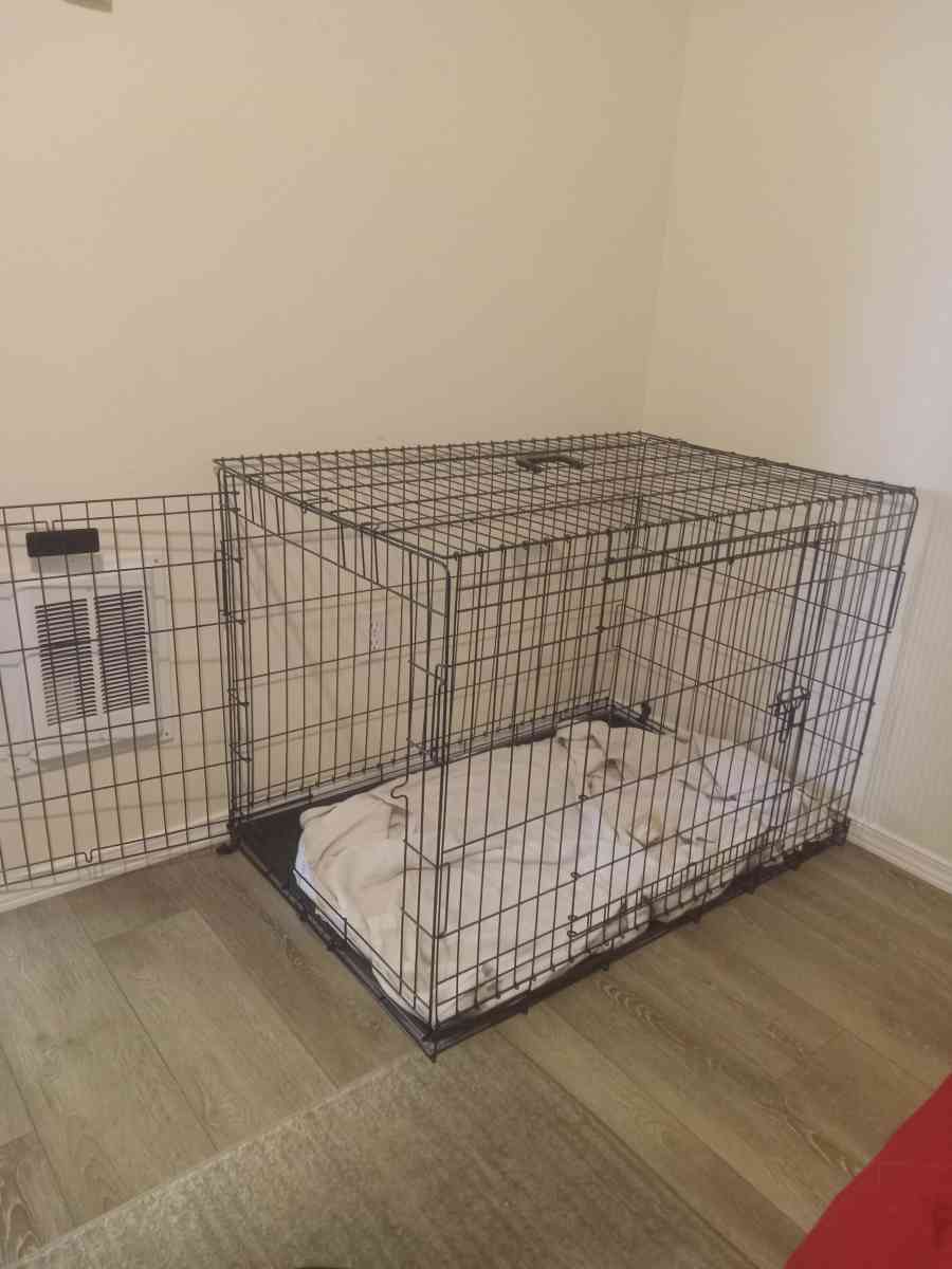 xl dog cage