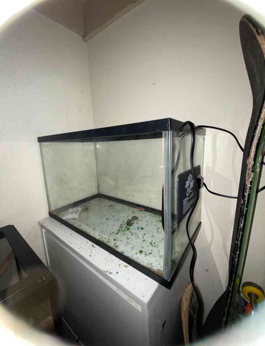 10 Gallon tank N Heat mat