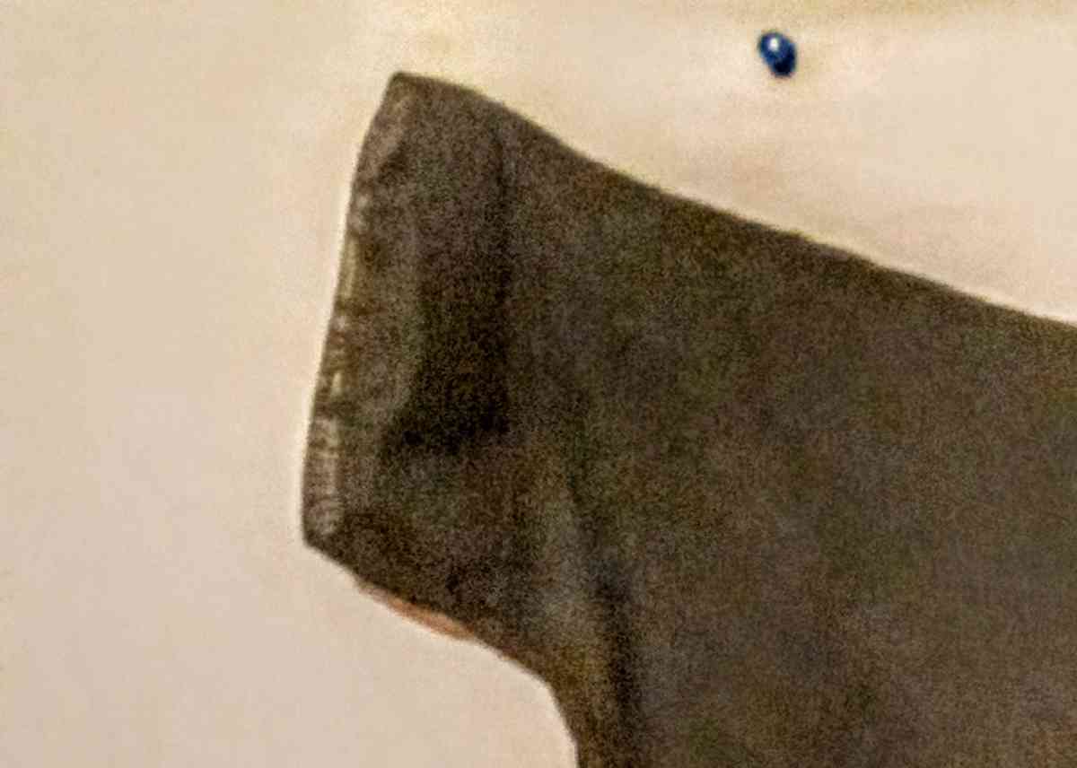 JellaCouture Black Sheer Lace Cover Up