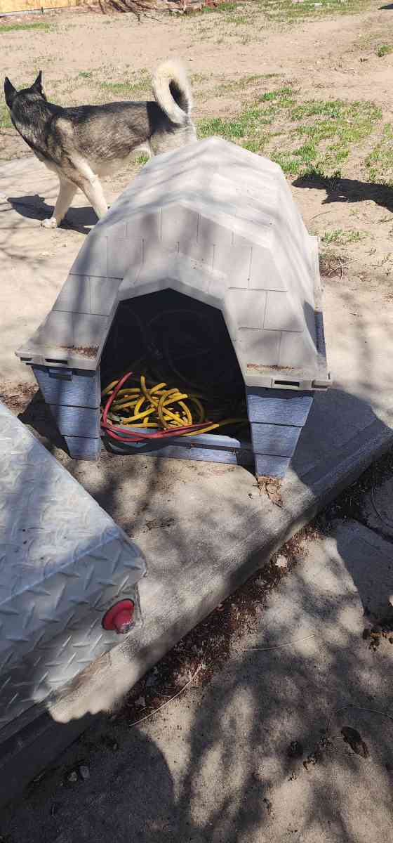 medium dog house