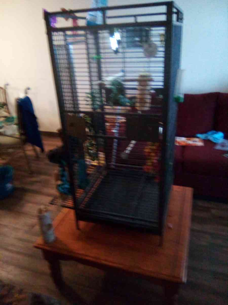 bird cage