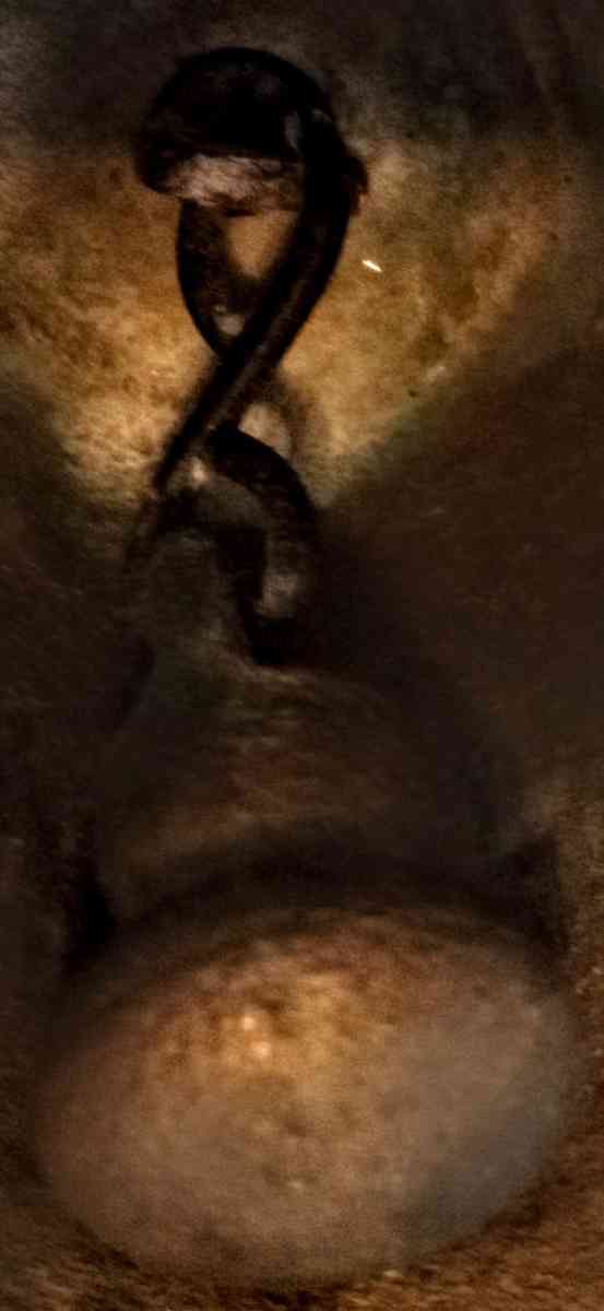 Brass Bell with Wooden Handle