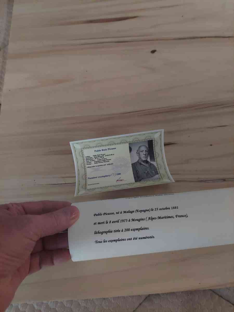 This is a little Picasso painting artThank you