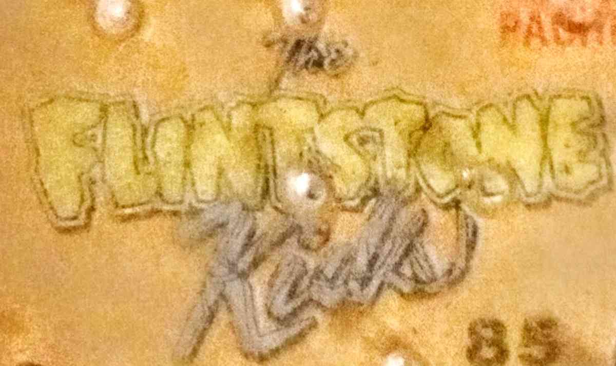 Flintstones Kids Hand held Pinball Game