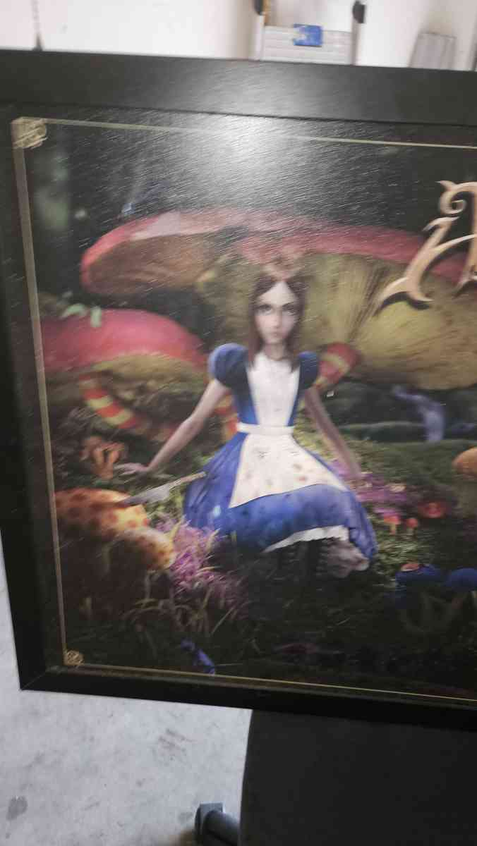 american mcgees alice mushroom garden  painting